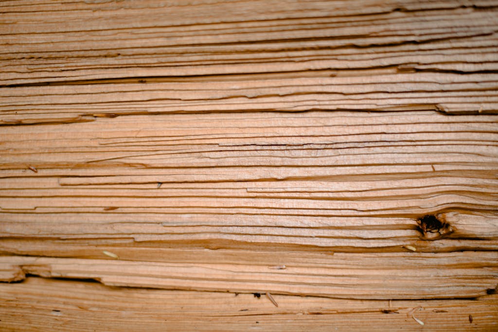 Wooden texture of tree with cracks